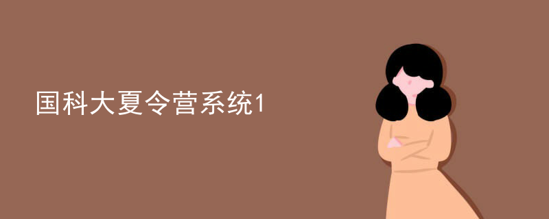 国科大夏令营系统