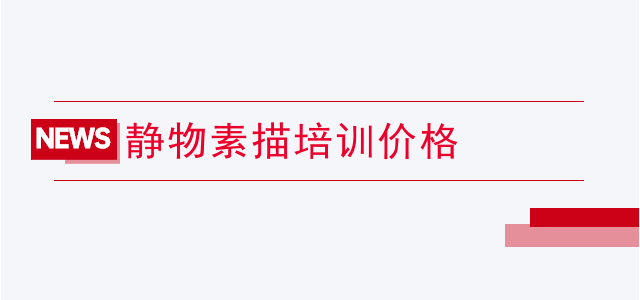 静物素描培训价格